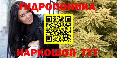 прущие крисы Тверь